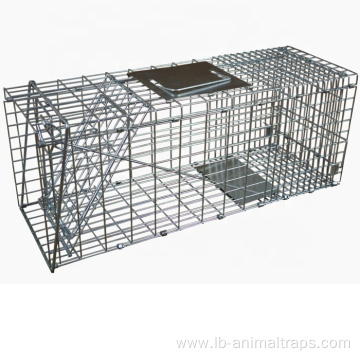 Squirrel Cage Trap With Foot Paddle